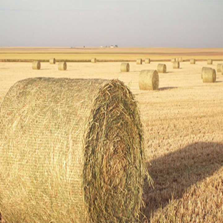 Rede de envoltório de fardos biodegradáveis ​​HDPE para agricultura